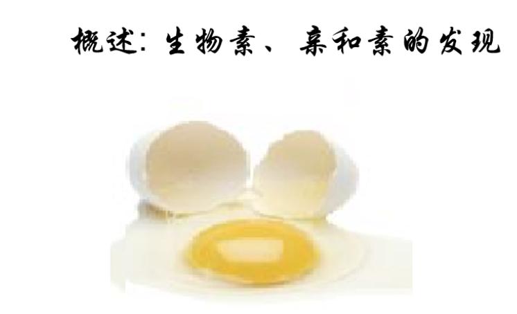 亲和素