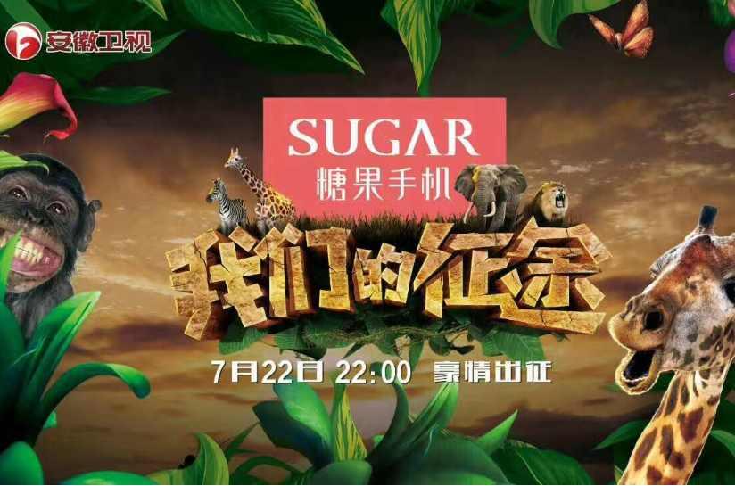 我们的征途