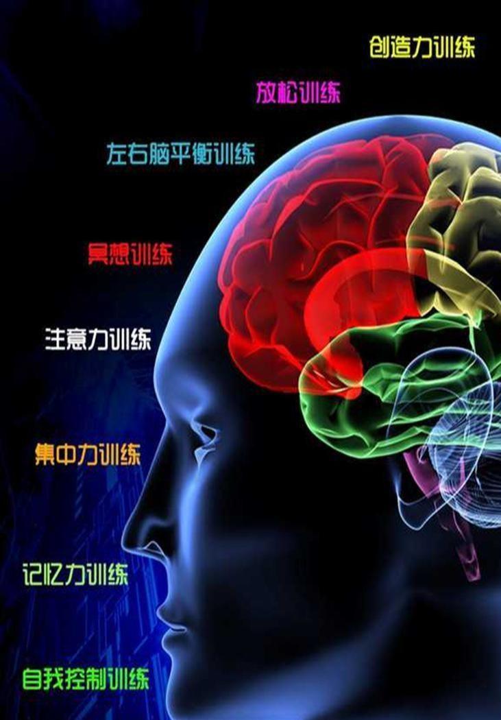 思维规律