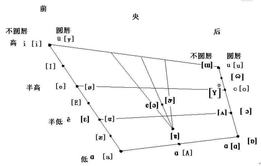 双唇鼻音