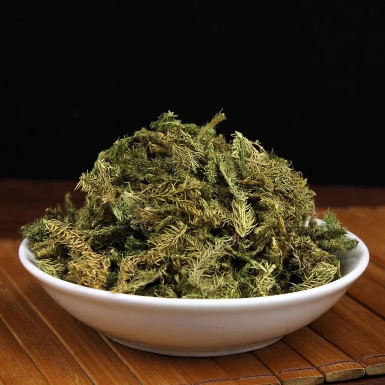 伸筋草