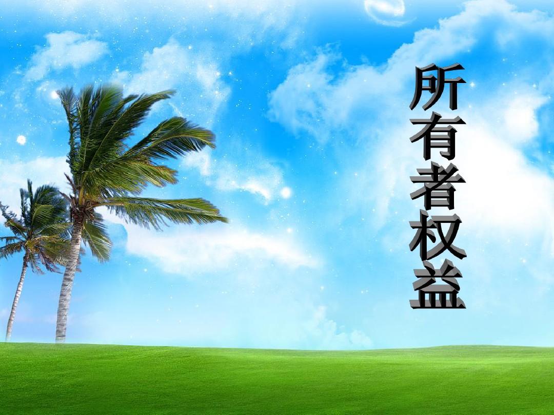 所有者权益