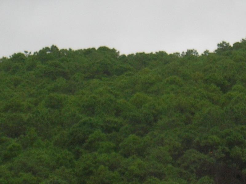 上柴坝自然村