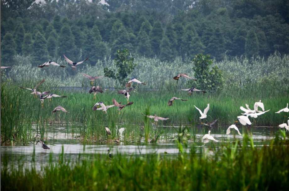 国家生态旅游示范区