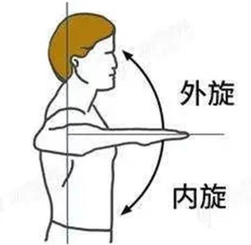 内旋