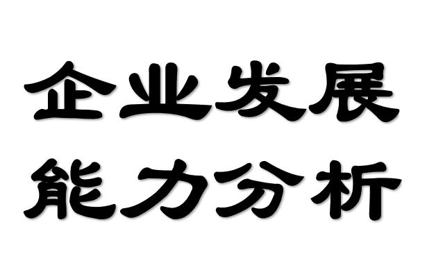 企业发展能力分析