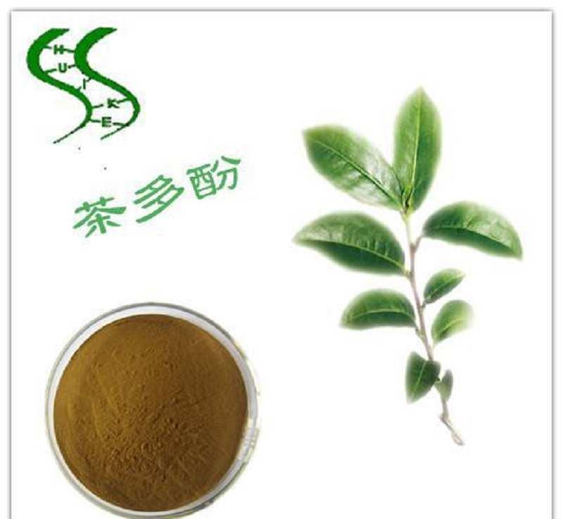 植物多酚