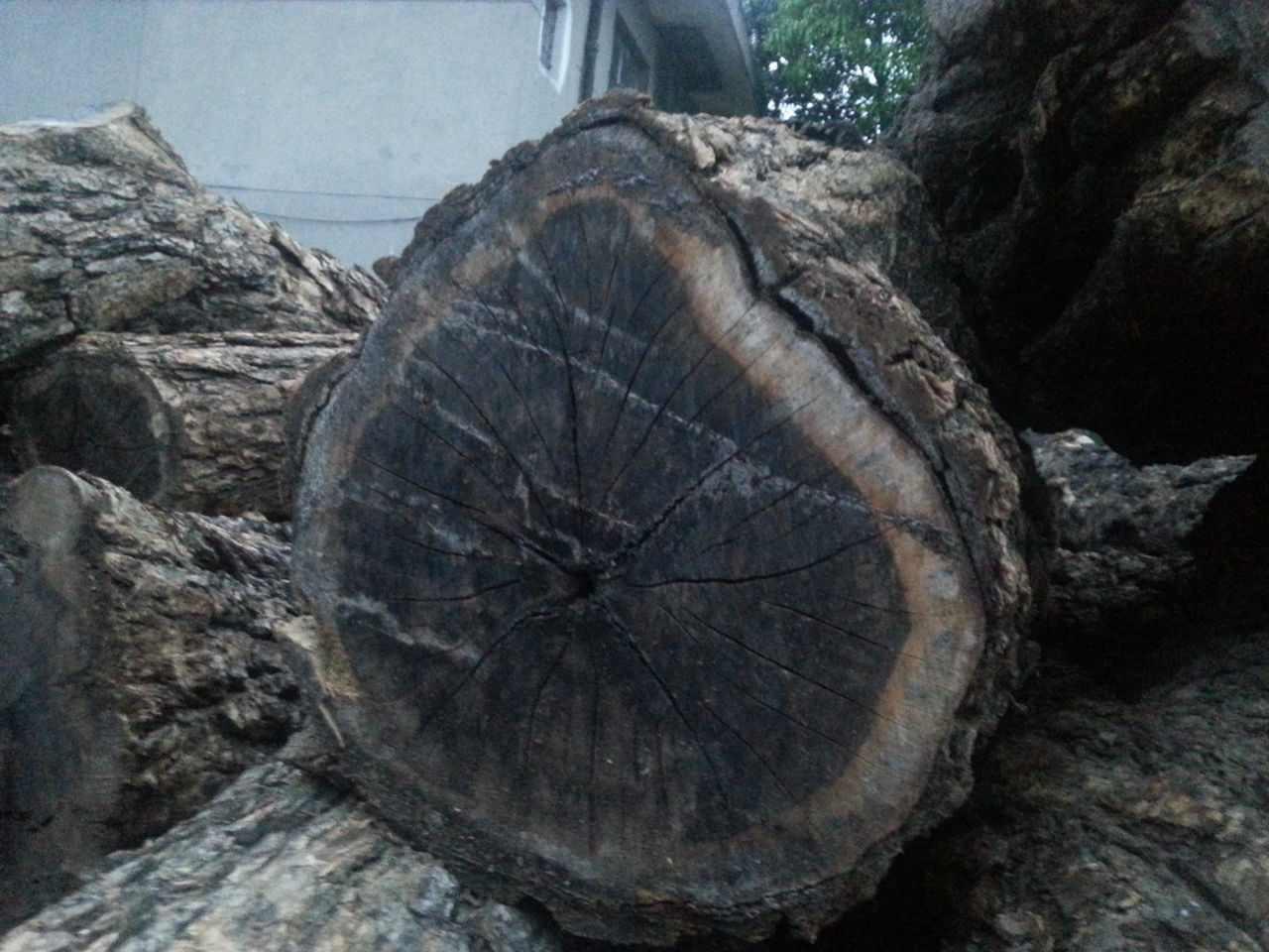 非洲乌木
