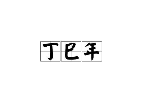 丁巳年