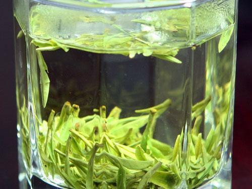 瑞州黄檗茶
