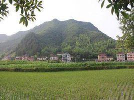 路边村