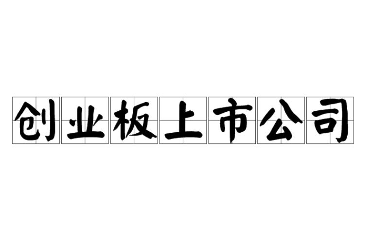 创业板上市公司