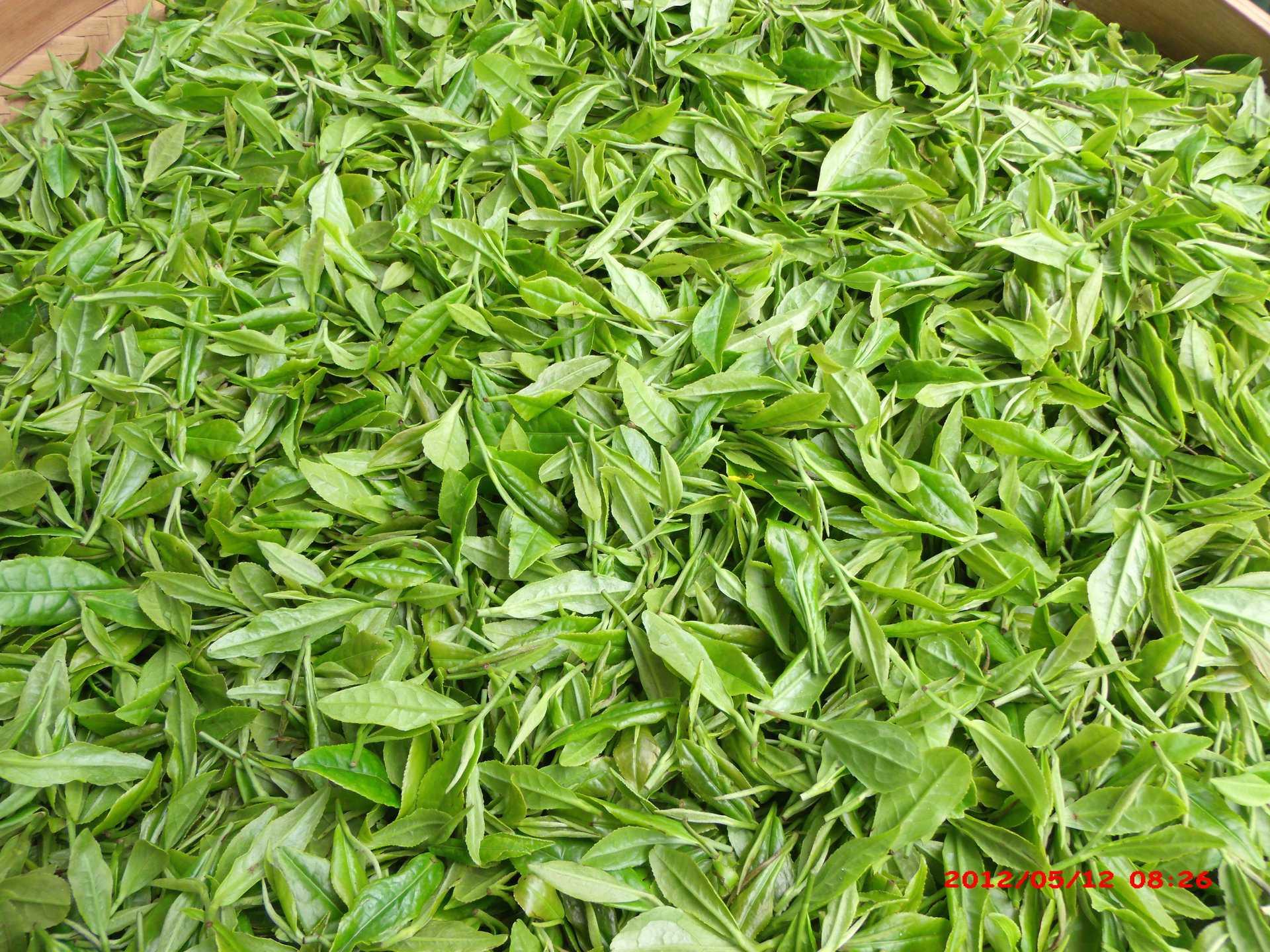 玲珑茶