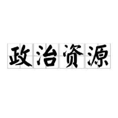政治资源