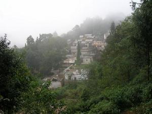 棕树寨村