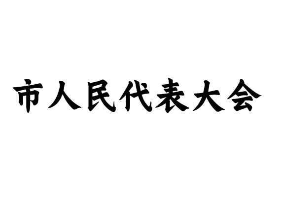 市人民代表大会
