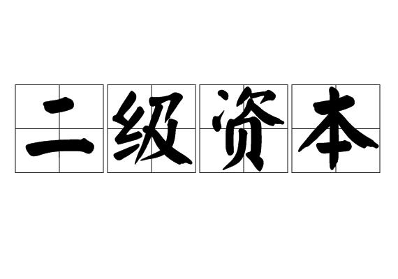 二级资本
