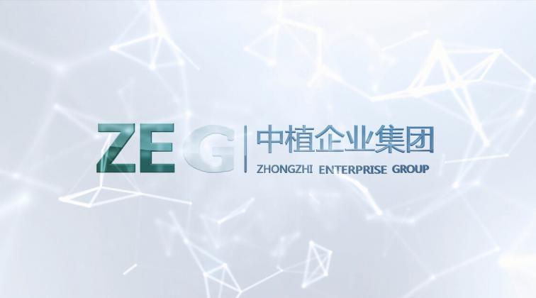 中植企业集团有限公司