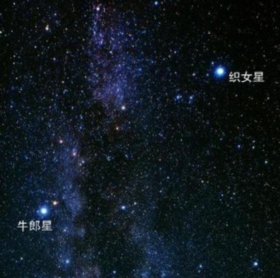 织女座