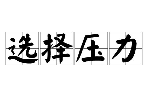 选择压力