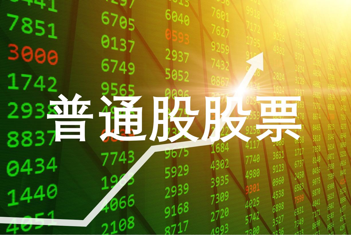 普通股股票