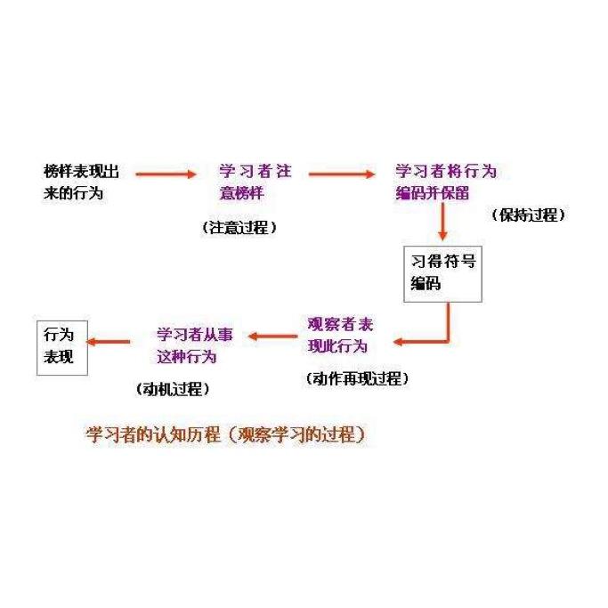 观察学习