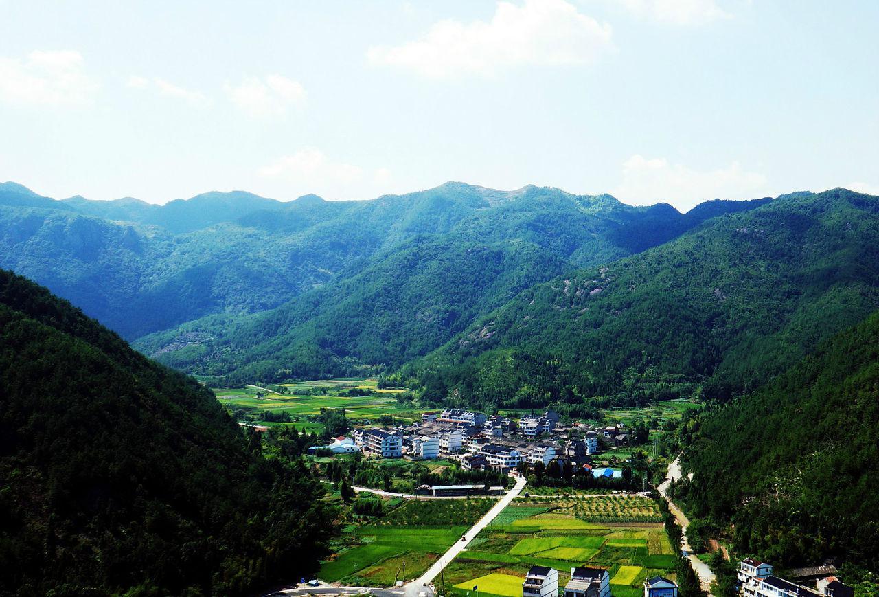 金村