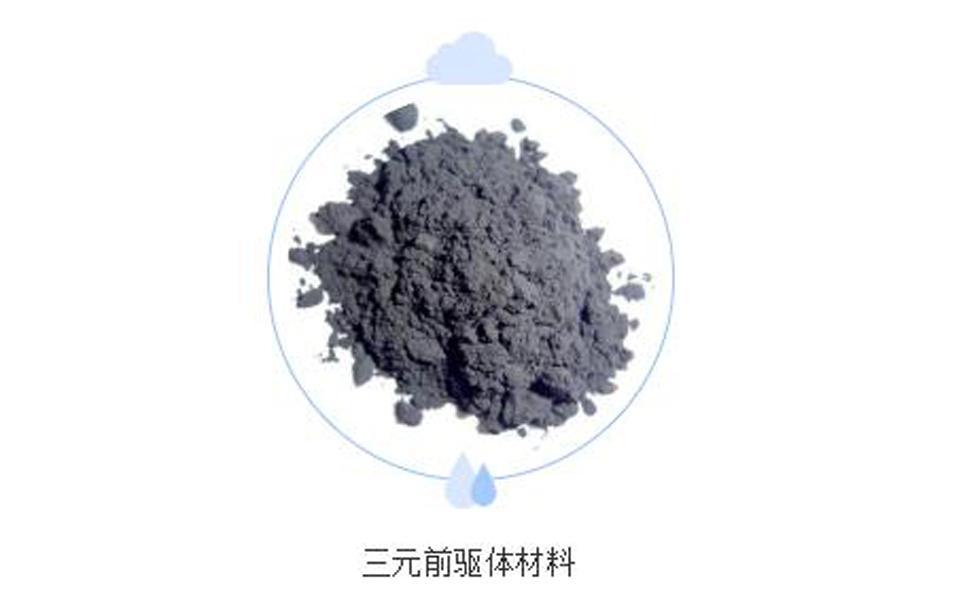 前驱体