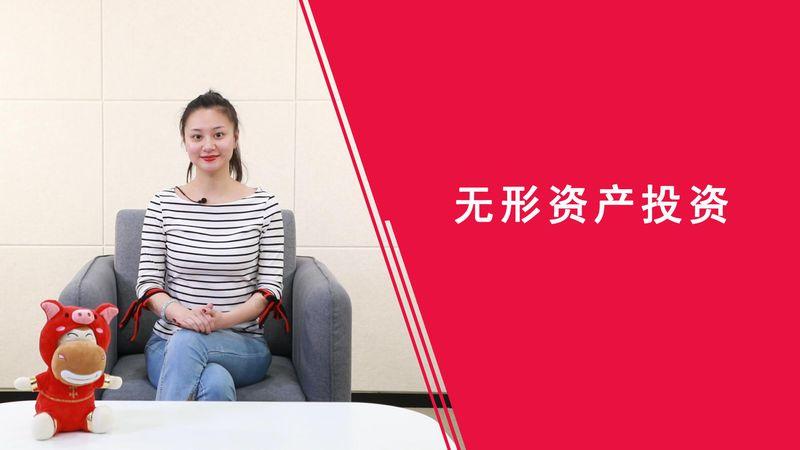 无形资产投资