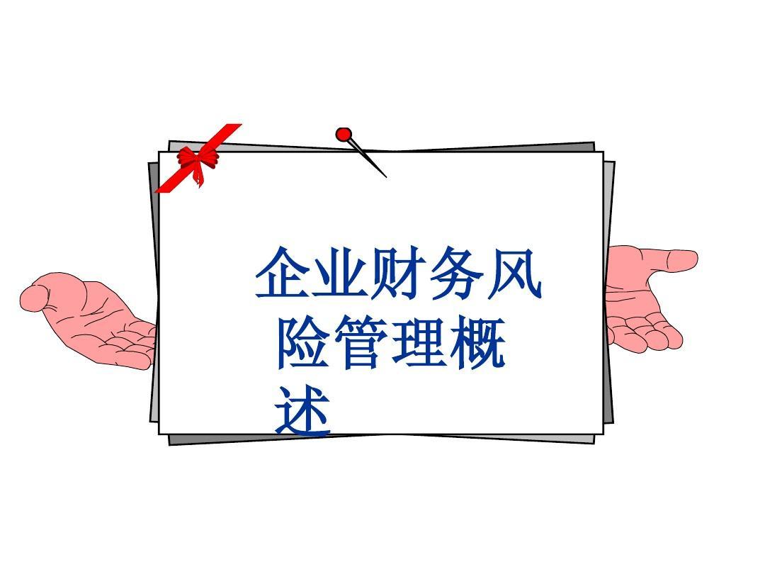 财务风险管理