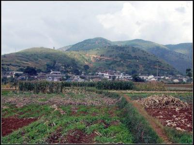 观音山大营村