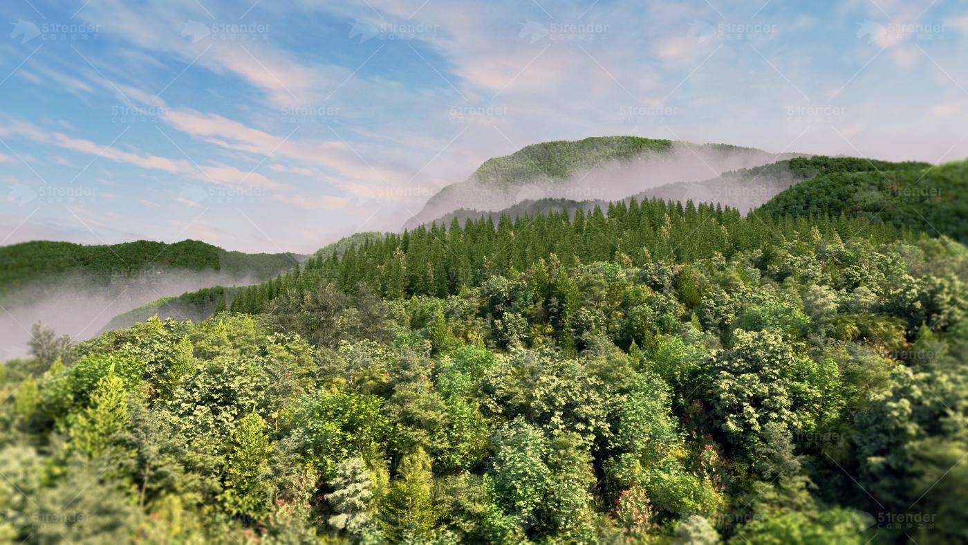 大山原始森林