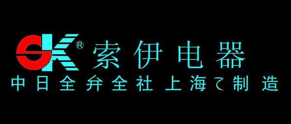 六安索伊电器制造有限公司