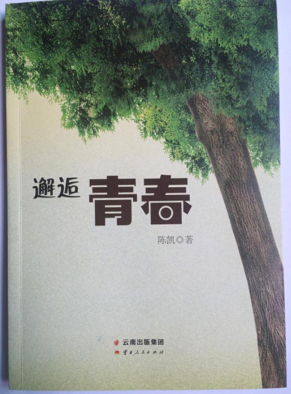 邂逅青春