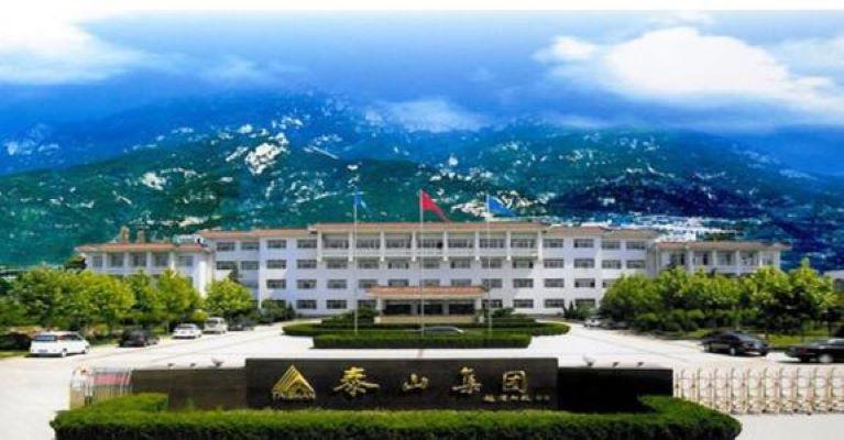 泰山集团股份有限公司