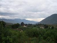 柏树坪村