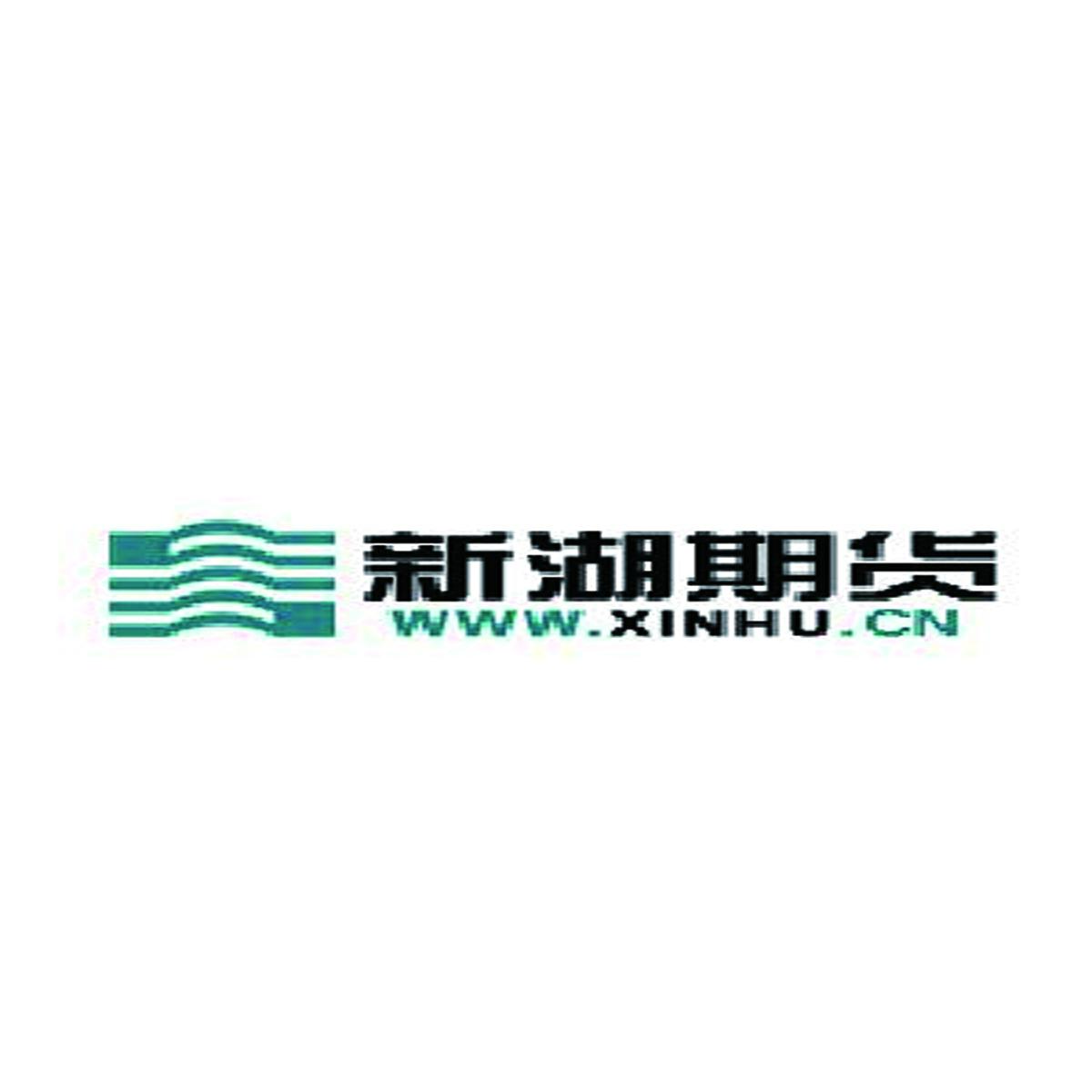 新湖期货有限公司