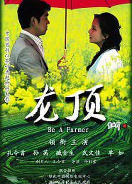 龙顶