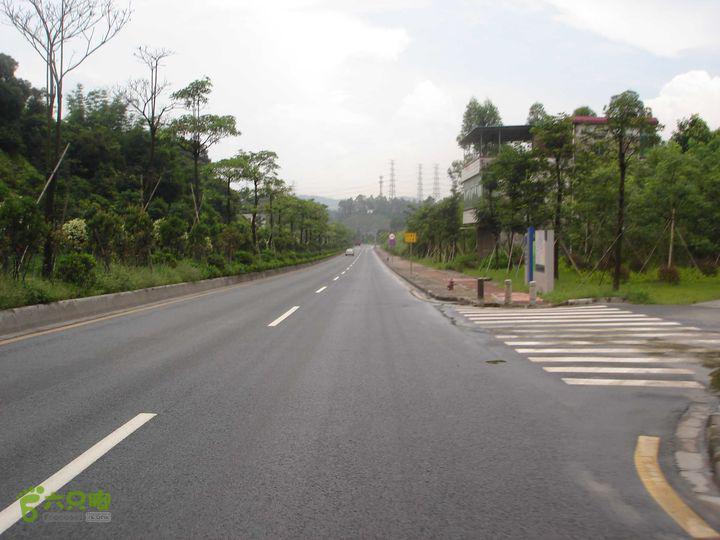 天鹿路