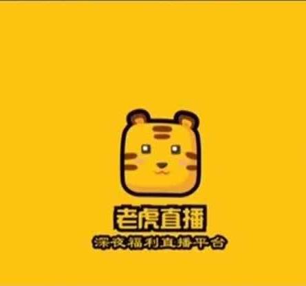 老虎直播