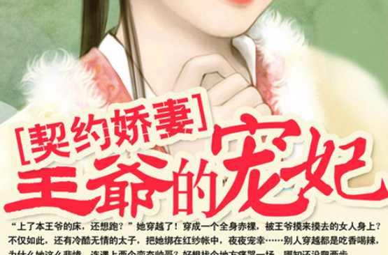 契约娇妻：王爷的宠妃