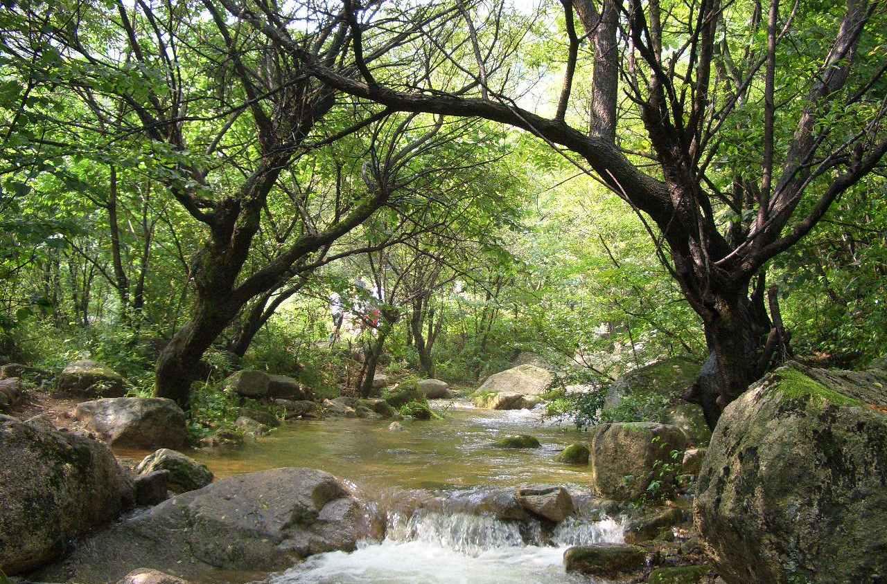 养子沟