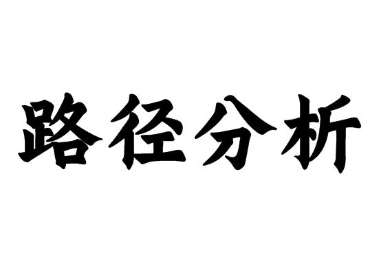路径分析