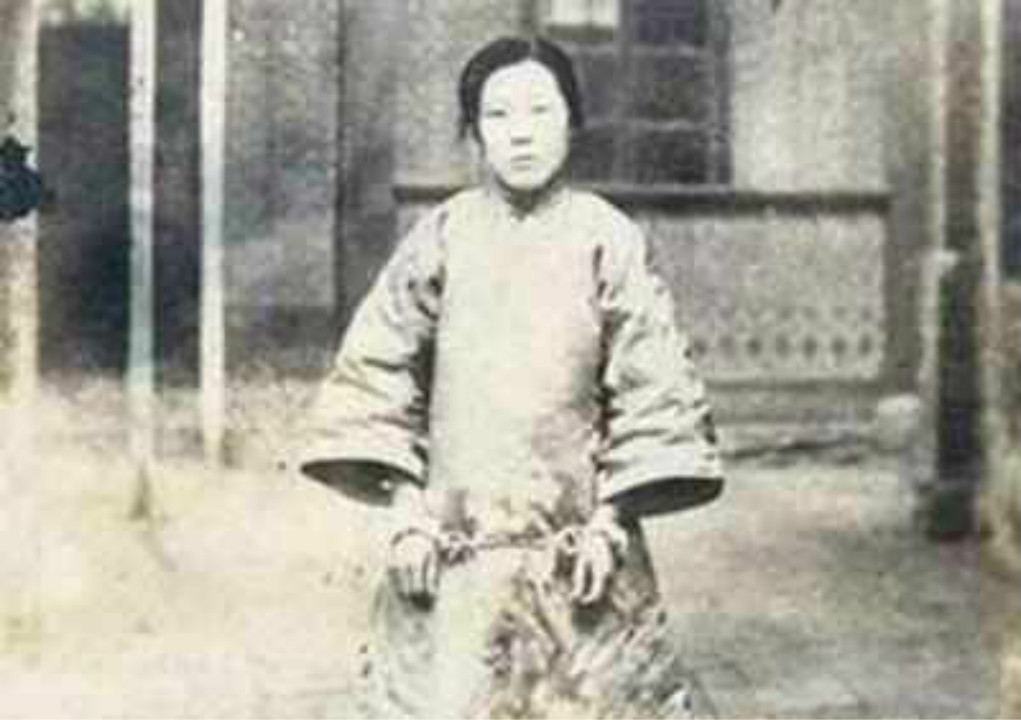 驼龙